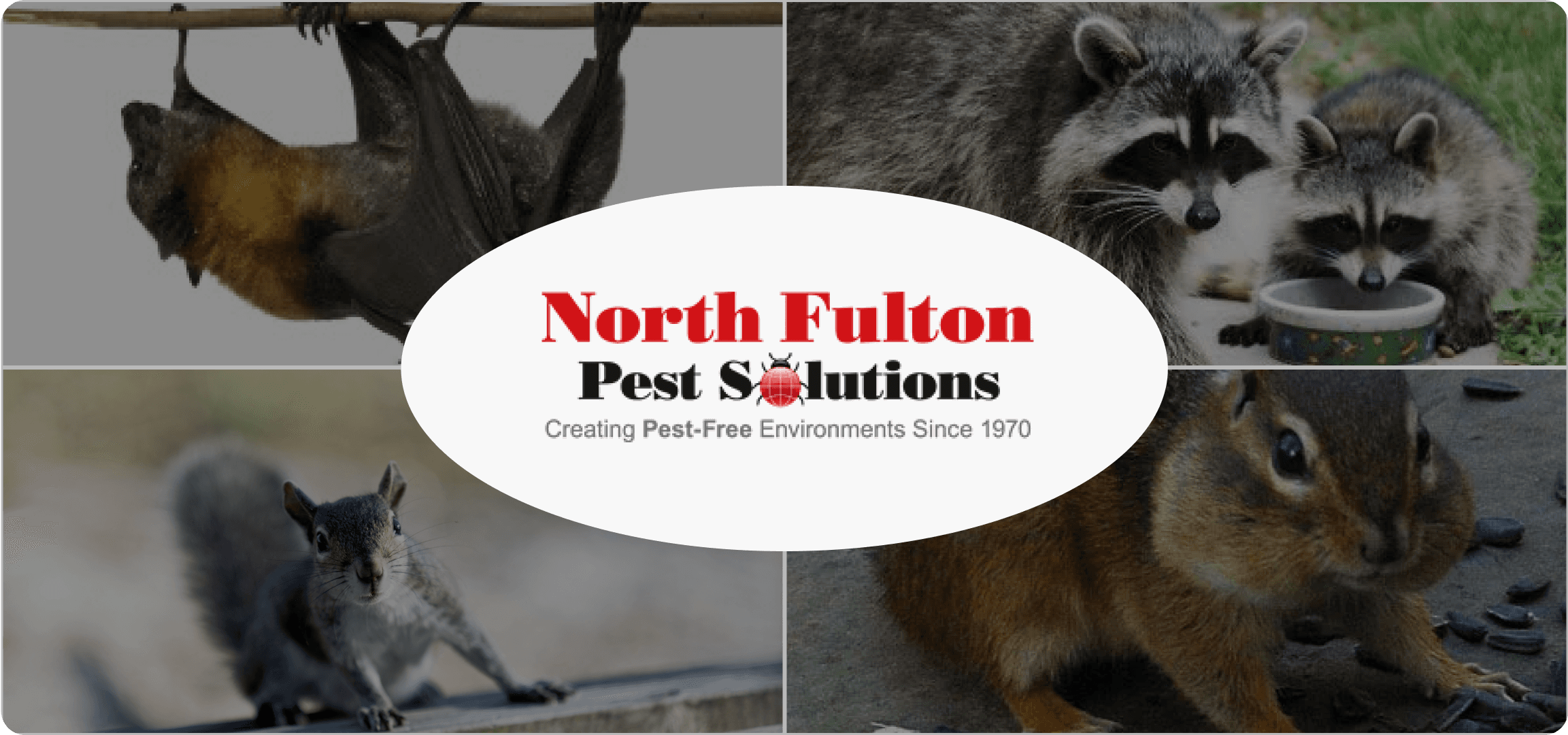 Northfull Pest Solution