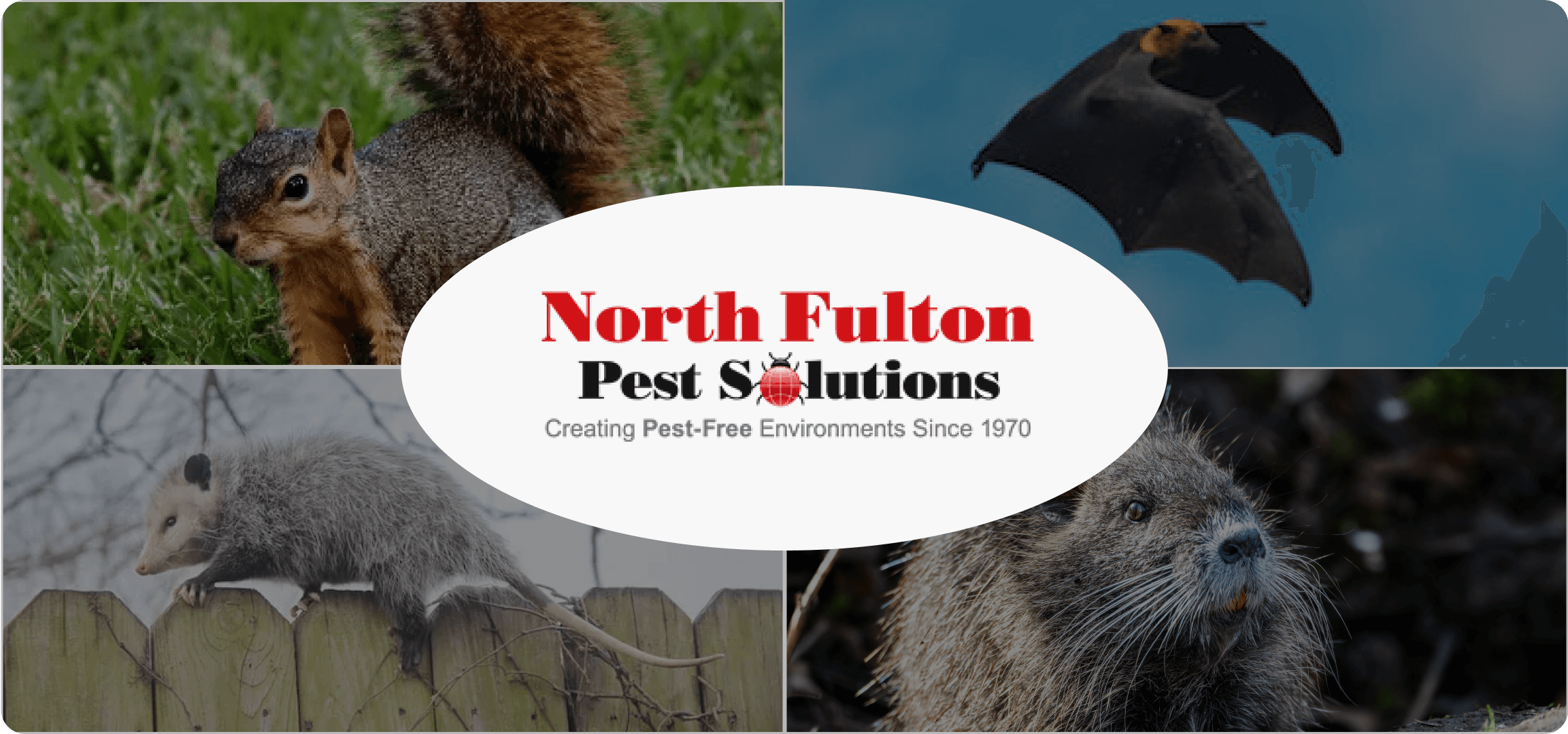 Northfull Pest Solution