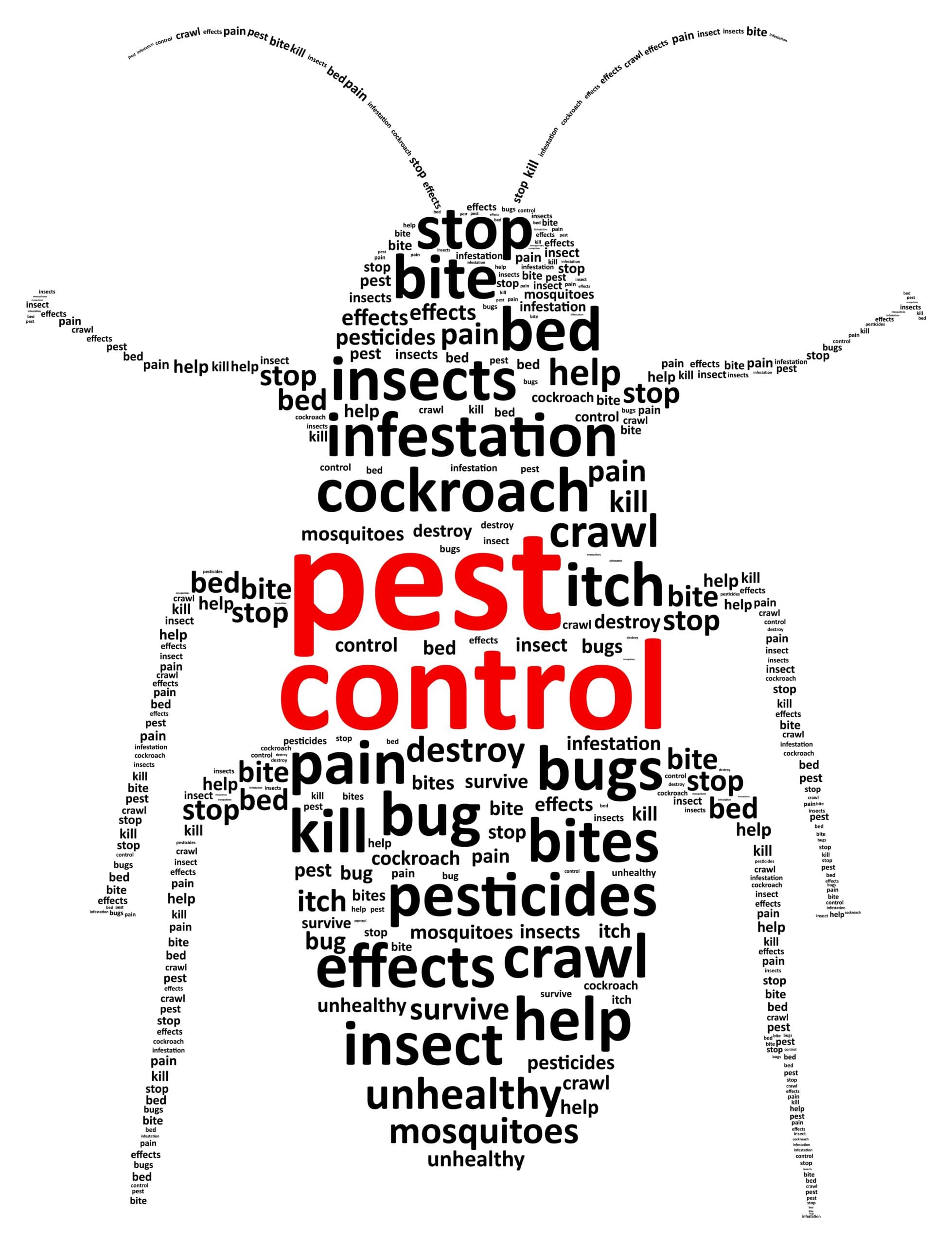 proper pest control